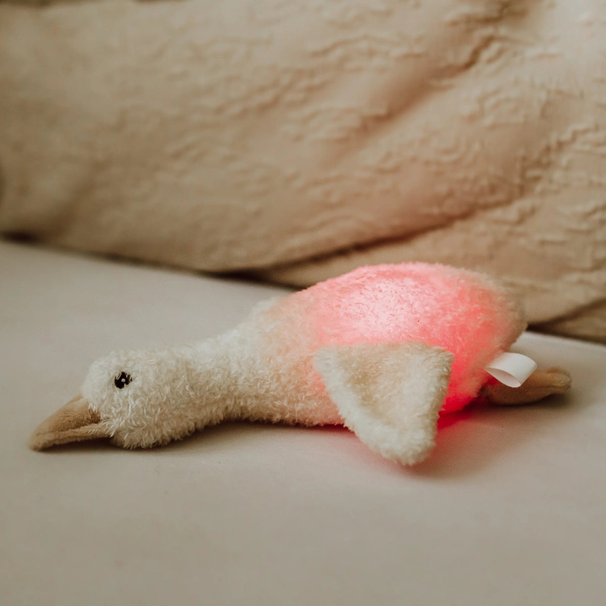 Nachtlicht & Kuscheltier Gans "Liva" - little something